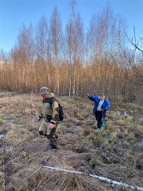 Искусство охоты на вальдшнепа: секреты выбора места, маскировки и точной стрельбы