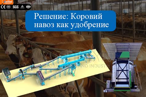 Как правильно выбрать оборудование для производства: советы экспертов